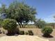View of desert landscaping and view fence in the backyard at 5420 S Mariposa Dr, Gilbert, AZ 85298