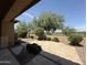 Desert backyard with lush landscaping, gravel, pavers and a view fence at 5420 S Mariposa Dr, Gilbert, AZ 85298
