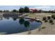 Community park offers a tranquil pond with a playground and walking paths for outdoor recreation at 5420 S Mariposa Dr, Gilbert, AZ 85298