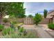 Charming backyard featuring mature trees, a storage shed, desert landscaping, and a brick walkway for easy access at 5451 W Folley St, Chandler, AZ 85226