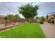 Well-maintained backyard showcasing a vibrant lawn, desert plants, mature trees, and a convenient storage shed at 5451 W Folley St, Chandler, AZ 85226