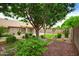An inviting backyard featuring lush landscaping, a well-manicured lawn, and a charming patio area perfect for outdoor entertaining at 5451 W Folley St, Chandler, AZ 85226