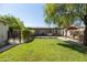 Expansive backyard with mature trees, green lawn, covered patio, and gardening area at 546 W Cambridge Ave, Phoenix, AZ 85003