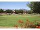 Well-maintained community green space with walking paths, mature trees, and mountain views at 8514 S 49Th Dr, Laveen, AZ 85339