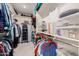 Well-organized walk-in closet with shelving and hanging rods at 10545 E Texas Ave, Mesa, AZ 85212