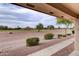 Expansive backyard featuring lush green landscaping with manicured shrubs and trees in the distance at 11069 E Kilarea Ave # 194, Mesa, AZ 85209