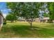 Green backyard with manicured lawn and mature trees at 13015 W Blue Sky Dr, Sun City West, AZ 85375