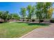 This backyard features a spacious grassy area surrounded by gravel and mature trees, creating a serene outdoor retreat at 14627 N 55Th Pl, Scottsdale, AZ 85254