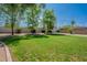 Grassy backyard with mature trees and brick-lined perimeter, offering a serene and private outdoor space at 14627 N 55Th Pl, Scottsdale, AZ 85254