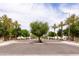 Scenic tree-lined streetscape with lush desert landscaping in a gated community under a bright, partly cloudy sky at 2203 E Tonto Pl, Chandler, AZ 85249