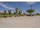 Community basketball court on a sunny day with manicured landscaping and plenty of space for recreation at 22463 E Desert Spoon Dr, Queen Creek, AZ 85142