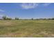 Expansive community green space with well-maintained grass and residential buildings in the distance at 22463 E Desert Spoon Dr, Queen Creek, AZ 85142