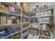 A walk-in pantry with organized shelving stocked with various food and household items at 22463 E Desert Spoon Dr, Queen Creek, AZ 85142