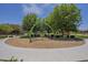 Community playground with climbing structure and surrounding mature trees and lush landscaping perfect for Gathering enjoyment at 22463 E Desert Spoon Dr, Queen Creek, AZ 85142