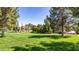 Expansive backyard with mature trees, landscaping, and a distant view of the home at 29 E Oakwood Hills Dr, Chandler, AZ 85248