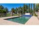 Backyard pool featuring blue tiled accents and a fenced perimeter with manicured landscaping at 29 E Oakwood Hills Dr, Chandler, AZ 85248