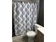 Clean bathroom features a toilet and tiled shower with decorative curtain at 3646 N 67Th Ave # 64, Phoenix, AZ 85033