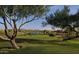 Golf course view with mature trees and a scenic lake, offering a picturesque golfing experience at 40858 N 109Th Pl, Scottsdale, AZ 85262