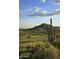 Scenic golf course view with saguaro cacti and mountain backdrop, perfect for a relaxing day on the greens at 40858 N 109Th Pl, Scottsdale, AZ 85262