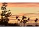 Beautiful sunset view featuring multiple palm trees silhouetted against a colorful sky, enhancing a serene ambiance at 425 S Parkcrest -- # 323, Mesa, AZ 85206