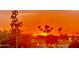 A fiery sunset illuminates the sky, backlighting silhouetted palm trees and buildings for a tranquil and inviting scene at 425 S Parkcrest -- # 323, Mesa, AZ 85206