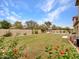 Large backyard featuring a well-maintained lawn, mature landscaping, and inviting pool area at 5812 W Spur Dr, Phoenix, AZ 85083