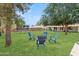 Lush backyard with ample green space, mature trees, and outdoor seating, perfect for relaxation and entertainment at 7607 N 17Th Ave, Phoenix, AZ 85021