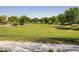 Expansive green space features lush grass and mature trees, perfect for outdoor activities and enjoying nature at 10224 E Talameer Ave, Mesa, AZ 85212