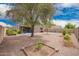 Large backyard featuring desert landscaping, mature tree, and covered patio at 16031 W Williams St, Goodyear, AZ 85338