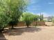 Expansive backyard with gravel, trees, and a view of the surrounding houses at 3555 E Feather Ave, Gilbert, AZ 85234