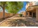 Spacious backyard with block wall fencing providing privacy and mature trees offering shade at 3750 S Ashley Pl, Chandler, AZ 85286