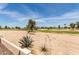 Beautiful golf course view with desert landscaping and trees at 3930 E Colonial Dr, Chandler, AZ 85249