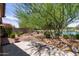 Lush backyard with trees, rocks, patio, and lake views beyond the fence at 652 E Rojo Way, Gilbert, AZ 85297
