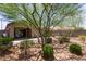 Serene backyard featuring desert landscaping, mature trees, and covered patio at 652 E Rojo Way, Gilbert, AZ 85297