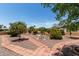 Beautiful backyard featuring lush landscaping, decorative rocks, and brick walkways at 922 S 80Th St, Mesa, AZ 85208