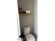 Compact powder room with toilet and minimalist wall decor at 984 W Belmont Red Trl, San Tan Valley, AZ 85143