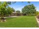Spacious backyard with lush green lawn and mature trees provides a serene outdoor space at 143 E Winter Dr, Phoenix, AZ 85020