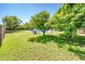 Lush backyard with mature trees and green lawn, creating a private retreat near the sparkling pool at 1562 W Las Palmaritas Dr, Phoenix, AZ 85021