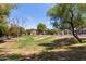 Expansive community lawn with mature trees providing shade near well-maintained residential homes at 2150 E Sunland Ave, Phoenix, AZ 85040