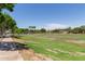 A community park with a sidewalk and grassy area that's perfect for recreation and relaxation at 2150 E Sunland Ave, Phoenix, AZ 85040