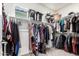 Walk in closet with clothes, shelving, carpet and a window at 286 E Raleigh Dr, Chandler, AZ 85286