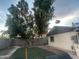 A spacious backyard offering potential for gardening and outdoor enjoyment at 3229 W Cholla St, Phoenix, AZ 85029