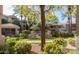 Well-maintained community greenspace with mature landscaping, trees, and manicured shrubs at 3830 E Lakewood Pkwy # 1057, Phoenix, AZ 85048