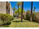 Exterior shot showcasing lush backyard landscaping with green grass, trees, and desert vegetation at 4727 E Lafayette Blvd # 211, Phoenix, AZ 85018