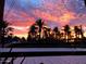 Vibrant sunrise over a row of palm trees with fiery clouds in a colorful Arizona sky at 4727 E Lafayette Blvd # 211, Phoenix, AZ 85018