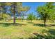 Lush green park with mature shade trees and well-maintained lawn at 6231 E Desert Cove Ave, Scottsdale, AZ 85254