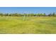 Expansive green park featuring a vibrant grassy field and scattered mature trees at 6231 E Desert Cove Ave, Scottsdale, AZ 85254