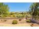 Desert backyard featuring rock landscaping, small bushes, and a view of desert vegetation at 7094 E Palo Brea Dr, Gold Canyon, AZ 85118
