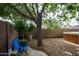 A serene backyard featuring a large tree at 11022 N 60Th Dr, Glendale, AZ 85304