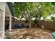 Large backyard featuring patio, BBQ grill, and mature tree at 11022 N 60Th Dr, Glendale, AZ 85304